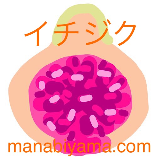 ”絵しりとり・イチジク”